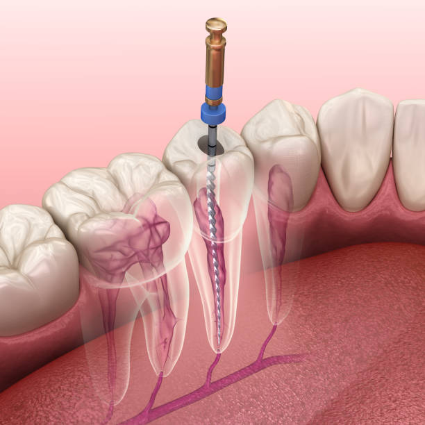 FATHIMA MATHA DENTAL CLINIC AMBALAVAYAL